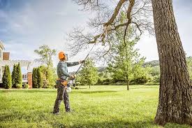 Reliable South Amboy, NJ Tree Removal Solutions