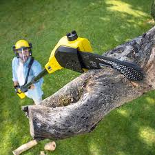 Best Leaf Removal  in South Amboy, NJ